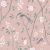 Paradise Birds 1901